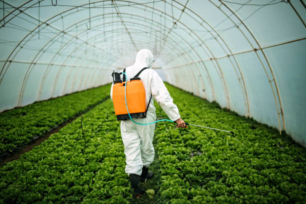 Best Pest Control Near Me  in Oceanside, NY