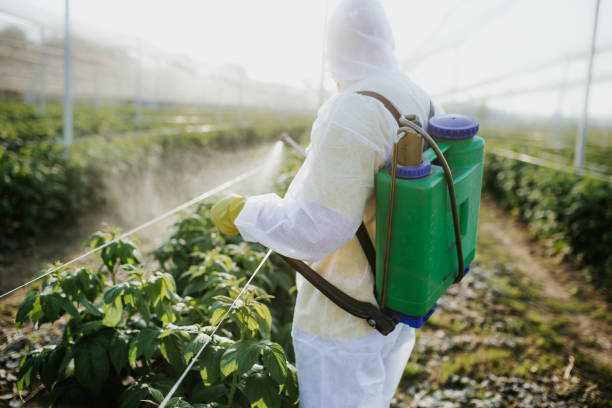 Best Best Pest Control Companies  in Oceanside, NY